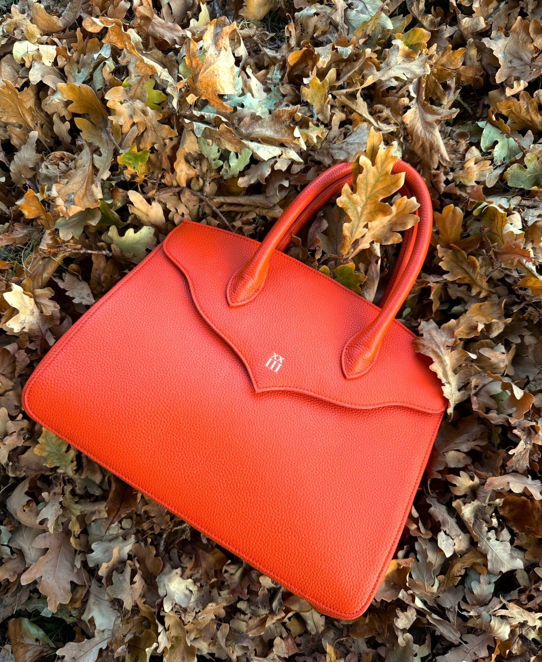 XXIII Amélie orange leather tote resting on fallen autumn leaves