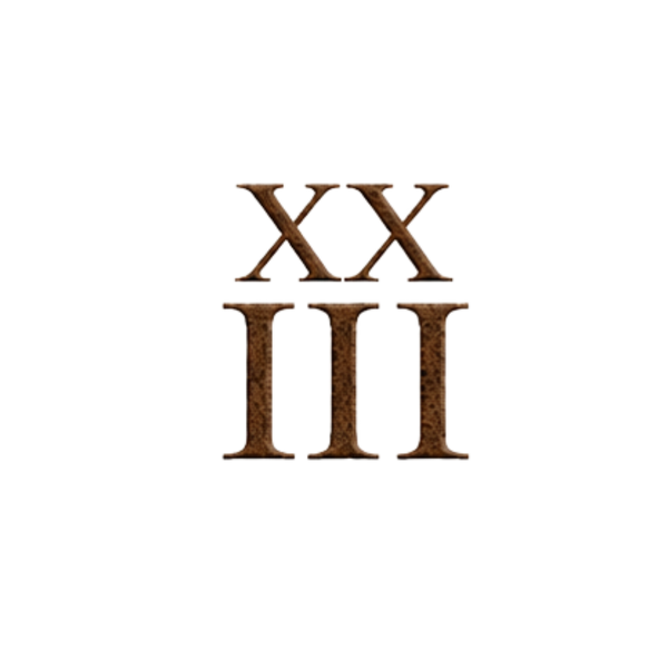 XXIII
